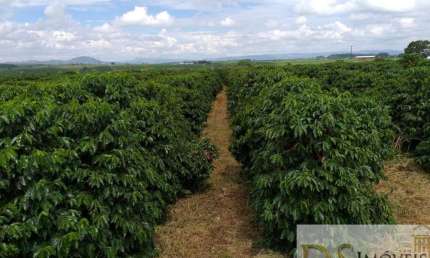 OPORTUNIDADE ÚNICA: FAZENDA DE CAFÉ COM 120 ALQUEIRES EM PIUMHI/MG!
