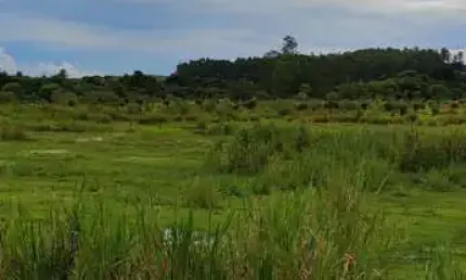 EXCELENTE SÍTIO À VENDA COM 10,33 ALQUEIRES NA CIDADE DE CAPELA DO ALTO-SP - BARRACÃO, RIO, REPRESA E CASA SEDE - IMPERDÍVEL!