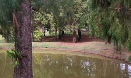 FAZENDA DE ALTO PADRÃO À VENDA - 67 alqueires em Sorocaba-SP. Investimento de Qualidade para Agricultura e Pecuária!