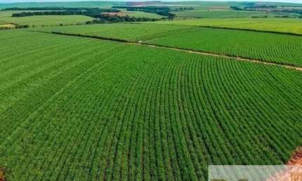 Fazenda à venda na Fernandópolis, Centro, Fernandópolis por R$ 7.050.000