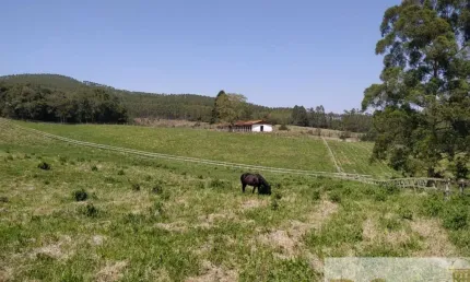 Chácara / sítio com 3 quartos à venda na Vila Elvio, Vila Élvio, Piedade por R$ 5.000.000
