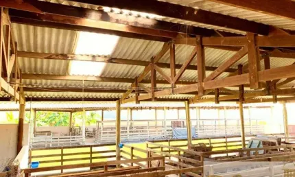 Chácara / sítio à venda na sarapuí, centro, sarapuí por r$ 10.000.000