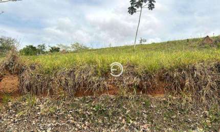 Terreno à venda, 1170 m² por R$ 371.000,00 - Chácaras Cataguá - Taubaté/SP