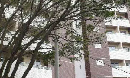 Apartamento com 2 dormitórios e lazer completo – excelente localização na principal avenida de são bernardo do campo