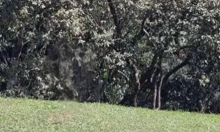 Terreno à venda na Estrada dos Romeiros, Tarumã, Santana de Parnaíba