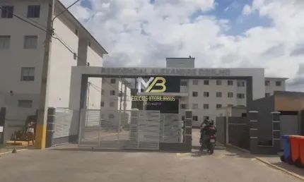 Apartamento com 2 quartos para alugar no Guarda do Cubatão, Palhoça 