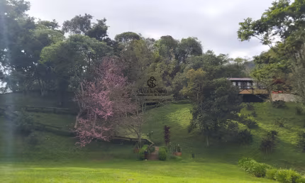 Oportunidade Única, Sítio em Santo Antônio do Pinhal – Água Mineral, Rancho Pronto e Potencial de Lucro Imediato!
