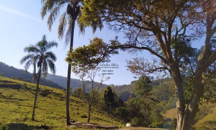 Chácara, Turismo ou Lazer – Terreno Versátil de 39.000 m² em Santo Antônio do Pinhal