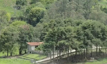 Oportunidade Única: Sítio com 5 Lagos, Casa Sede, Riacho E Solo Produtivo