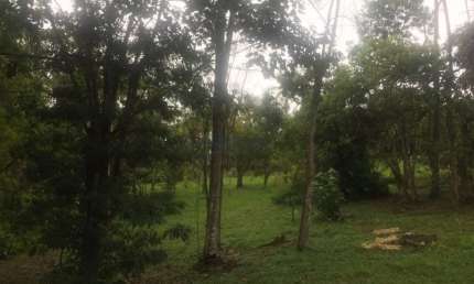 Terreno em Excelente Condomínio  -  Itapecerica da Serra