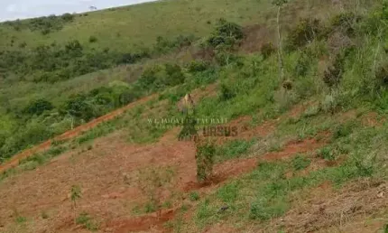 Terreno à venda, 20000 m² por r$ 380.000,00 - ribeirão grande - pindamonhangaba/sp