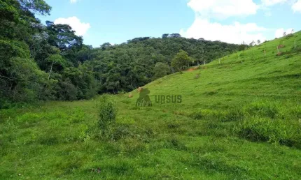 Sítio com excelente localização 1016400 m² por R$ 2.000.000 - Granjas Rurais Reunidas São Judas Tadeu - Taubaté/SP