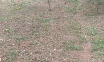 Terreno em condomínio fechado com 1.000 m2 em Atibaia SP.