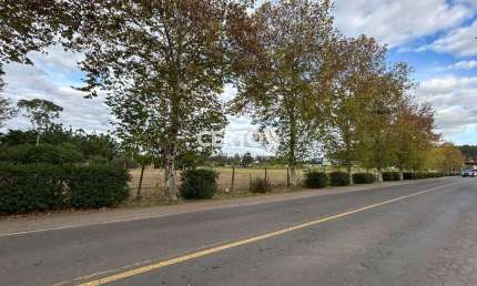 Terreno à venda na Avenida José Antônio de Oliveira Neto, 206, Centro, Araricá por R$ 424.000