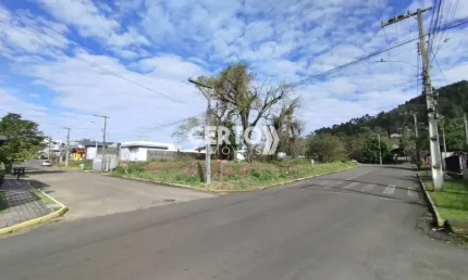 Terreno à venda na santa rosa henrique pedro kohlrausch, centenário, sapiranga por r$ 245.000