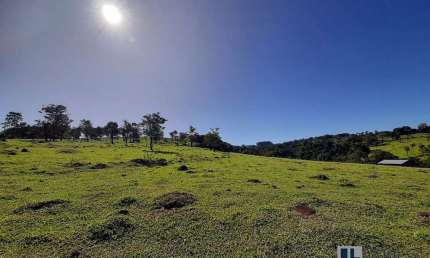 Sitio para venda na região de Itirapua-SP, com 11 alqueires montada na pecuária, pode plantar 9 alqueires, tem altitude para café, benfeitorias e bom
