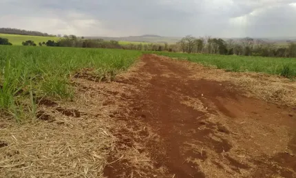 Sitio para venda em Igarapava-SP, com 61 alqueires sendo 33 alqueires em cana, terra de cultura, córrego na propriedade, proximo de Usinas