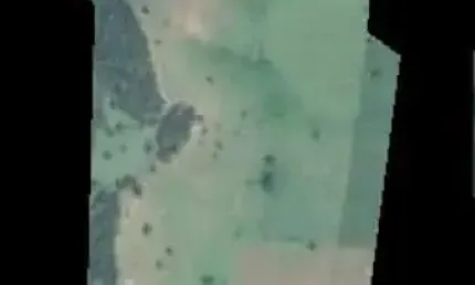 Fazenda para venda na região de Tanabi-SP, com 45 alqueires todo em pasto, 3 casas boas, curral, poço artesiano e córrego na propriedade