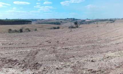 Fazenda para venda na região de Piracicaba-SP, com 42 alqueires sendo 34 alqueires em cana arrendada, aproveitamento 80%, beira do asfalto