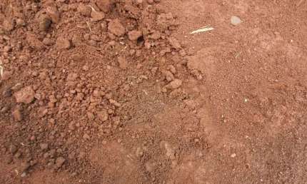 Fazenda para venda na região de Batatais-SP, com 169  alqueires sendo 100 alqueires em cana arrendada, rica em agua
