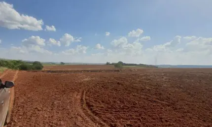 Fazenda para venda na região de porto ferreira-sp, com 90 alqueires sendo 58 alqueires em cana arrendada, aproveitamento 76%, boa de agua e benfeitori