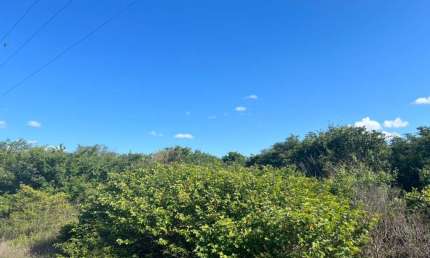 Oportunidade. Fazenda para venda na região de Avelino Lopes-PI com 8.900 hectares, fora do Parque, ideal para reserva e frutas como caju e etc