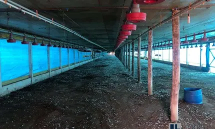 Sitio para venda na região de jau-sp com 7,2 alqueires, granja para 40 mil frangos e pastagem para pecuária, benfeitorias