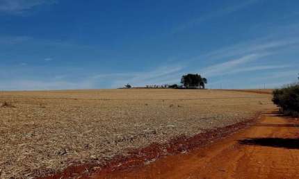 Fazenda para venda na região de Franca-SP com 430 alqueires sendo 320 alqueires em cana arrendada, pode plantar soja, boa de agua