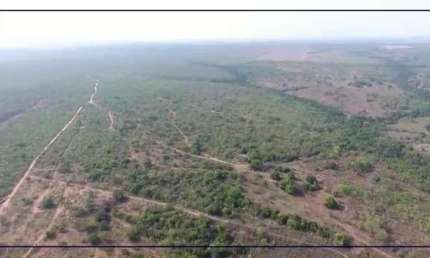 Fazenda dupla aptidão para venda na região de Alvorada do Norte-GO com 167 hectares, plana, boa de agua, sede pequena, energia