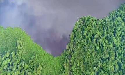 Fazenda dupla aptidão para venda na região de Britania-GO com 13.100 hectares sendo 8.500 hectares em pastagem aberta, beira do Araguaia, muitas benfe