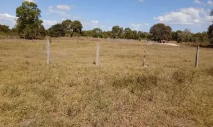 Fazenda para pecuária a venda na região de Nova Nazare-MT com 9.500 hectares em pastagem para 2.400 cabeças, beira do Rio Ararguaia, benfeitorias