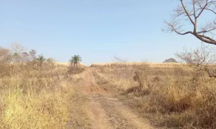 Fazenda para venda na região de Barretos-SP, com 131 alqueires, pode plantar 90 alqueires em cana arrendada, divisa com Rio