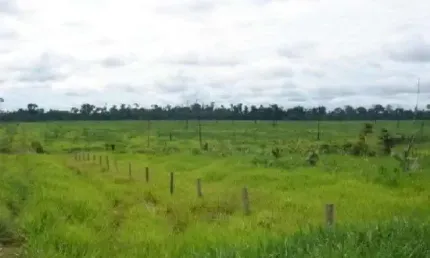 Fazenda grande extensão a venda na região de aripuana-mt com 141.000 hectares sendo 13.000 hectares em pastagem, rica em agua e benfeitorias