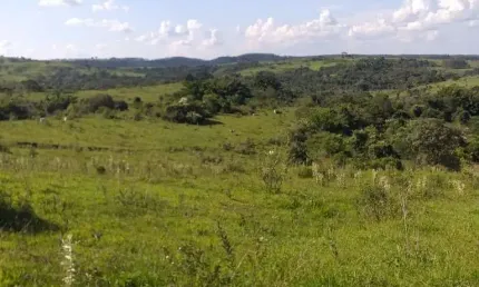 Fazenda para venda na região de Pirajui-SP com 73 alqueires na pecuaria, boa de agua, casa sede e mangueira, 15 km da cidade, vende desmembrado