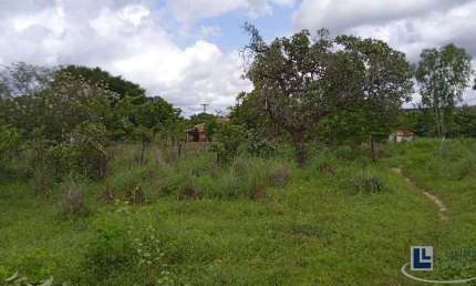 Sitio dupla aptidão para venda em Floriano-PI com 70,5 hectares, atual na pecuária, terra boa para lavoura, beira do asfalto, benfeitorias, agua