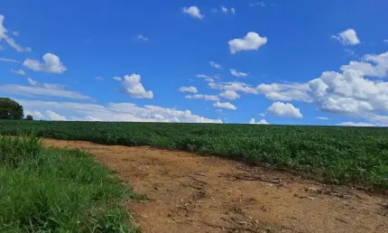 Sitio para venda na região de Araxa-MG com 50 hectares sendo 47 hectares para lavoura, irriga com pivô 28 hectares, altitude 900 m