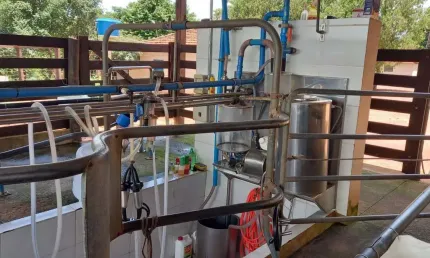 Sitio para venda na região de Barretos-SP com 6,25 alqueires em pastagem, curral, piquetes, benfeitorias, poço artesiano e córrego na propriedade