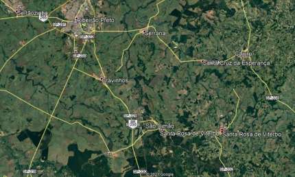 Sitio para venda em Santa Rosa de Viterbo-SP com 4,25 alqueires em eucalipto próprio, topografia com declive, ótima localização