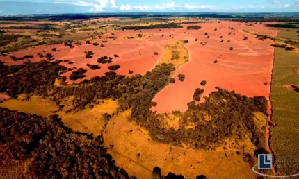 Fazenda para venda na região de Jales-SP com 60 alqueires sendo 50 alqueires em cana arrendada, terra massape, boa de agua