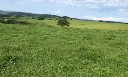 Fazenda para venda na região de Marilia-SP com 225 alqueires montada na pecuária, beira da rodovia