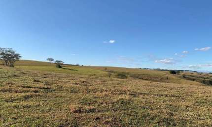 Fazenda dupla aptidão para venda na região de Marilia-SP com 125 alqueires montada na pecuária, planta 80 alqueires, varias benfeitorias, beira da pis