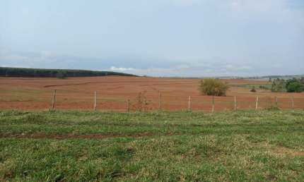 Fazenda dupla aptidao para venda na região de Marilia-SP com 142 alqueires, eucalipto, mandioca, amendoim e pastagem
