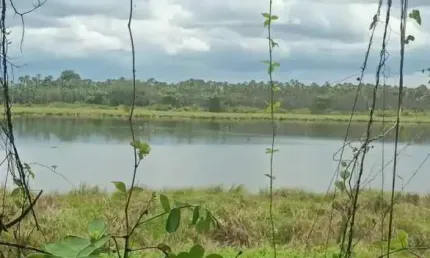 Fazenda para venda na regiao manoel emidio-pi com 1.650 hectares, fazenda bruta, sem área consolidada