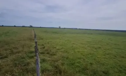 Fazenda na pecuaria para venda na região de Mozarlandia-GO com 2.100 hectares toda aberta e formada, planta 1.350 hectares, rica em agua e muitas benf