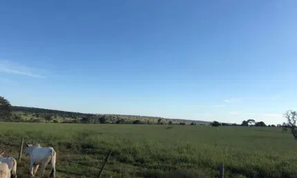 Fazenda dupla aptidão na região de anaurilandia-ms com 150 alqueires formada na pastagem e muitas benfeitorias