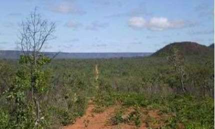 Fazenda para venda na região de Formosa do Rio Preto-BA com 12.500 hectares, logística excelente, região nobre para lavoura