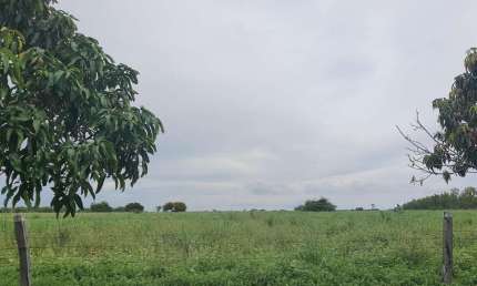 Fazenda dupla aptidão para venda na região de Morpara-BA com 11.500 hectares, atual na pecuária, rica em agua, muitas benfeitorias, porteira fechada