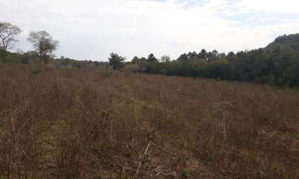 Fazenda para venda na região de Rochedo-MS com 210 hectares em braquiara, rica em agua com 2 corregos, sem benfeitorias