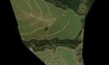 Oportunidade. Fazenda para venda na região de Presidente Prudente-SP com 182 alqueires sendo 109 alqueires em cana arrendada, excedente em mata, sem b