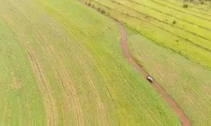 Fazenda dupla aptidão para venda na região de Piraju-SP com 1.120 alqueires, planta 580 alqueires, restante em pasto